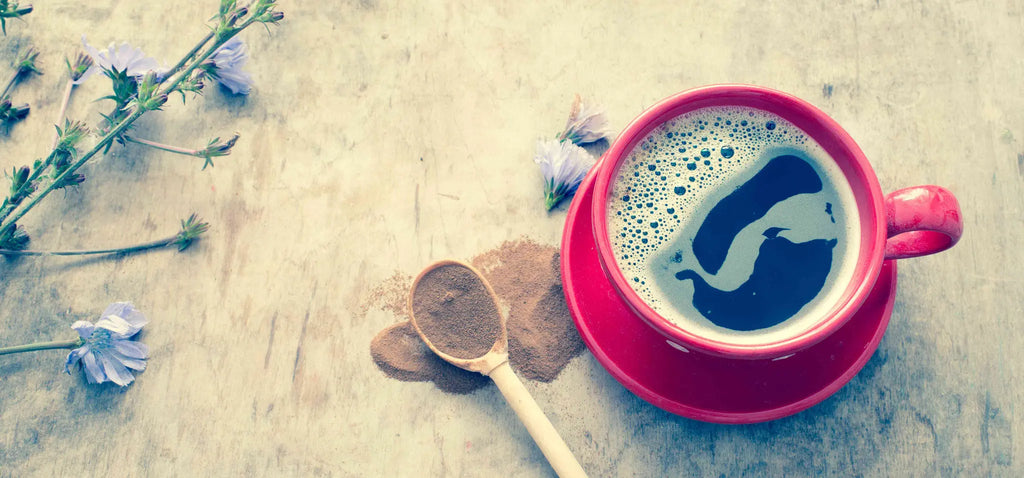 A Brief History of Chicory in India