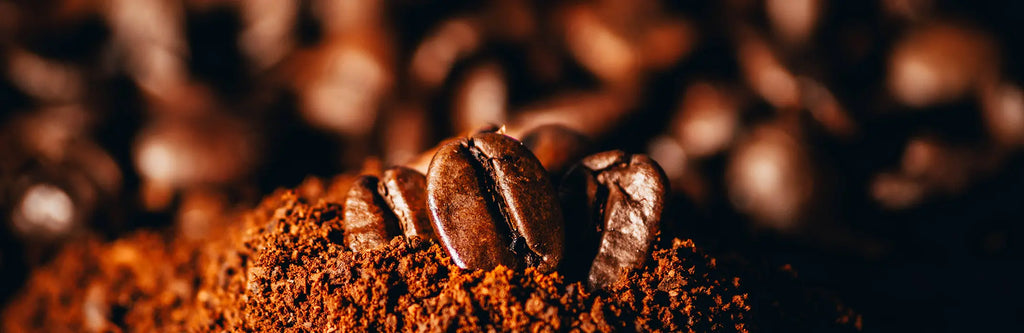 How is Artisanal Coffee Different From Specialty Coffee?