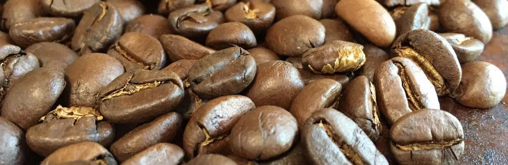 Why are Mysore Nuggets One of India's Best Coffee Beans? Malgudi Days
