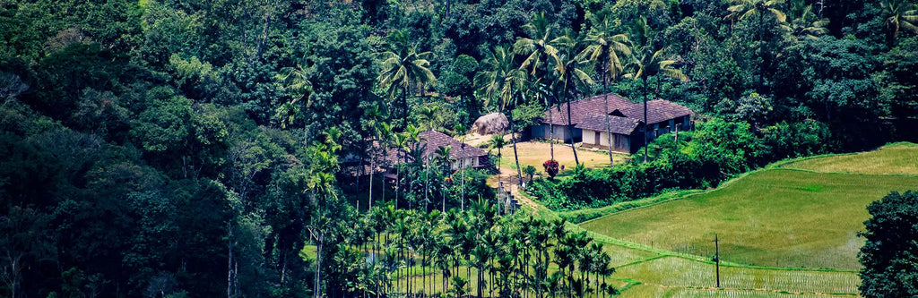 Where in India is the Best Coffee Grown? Malgudi Days